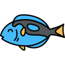 animals,fish,sea life,animal,sea,blue tang fish